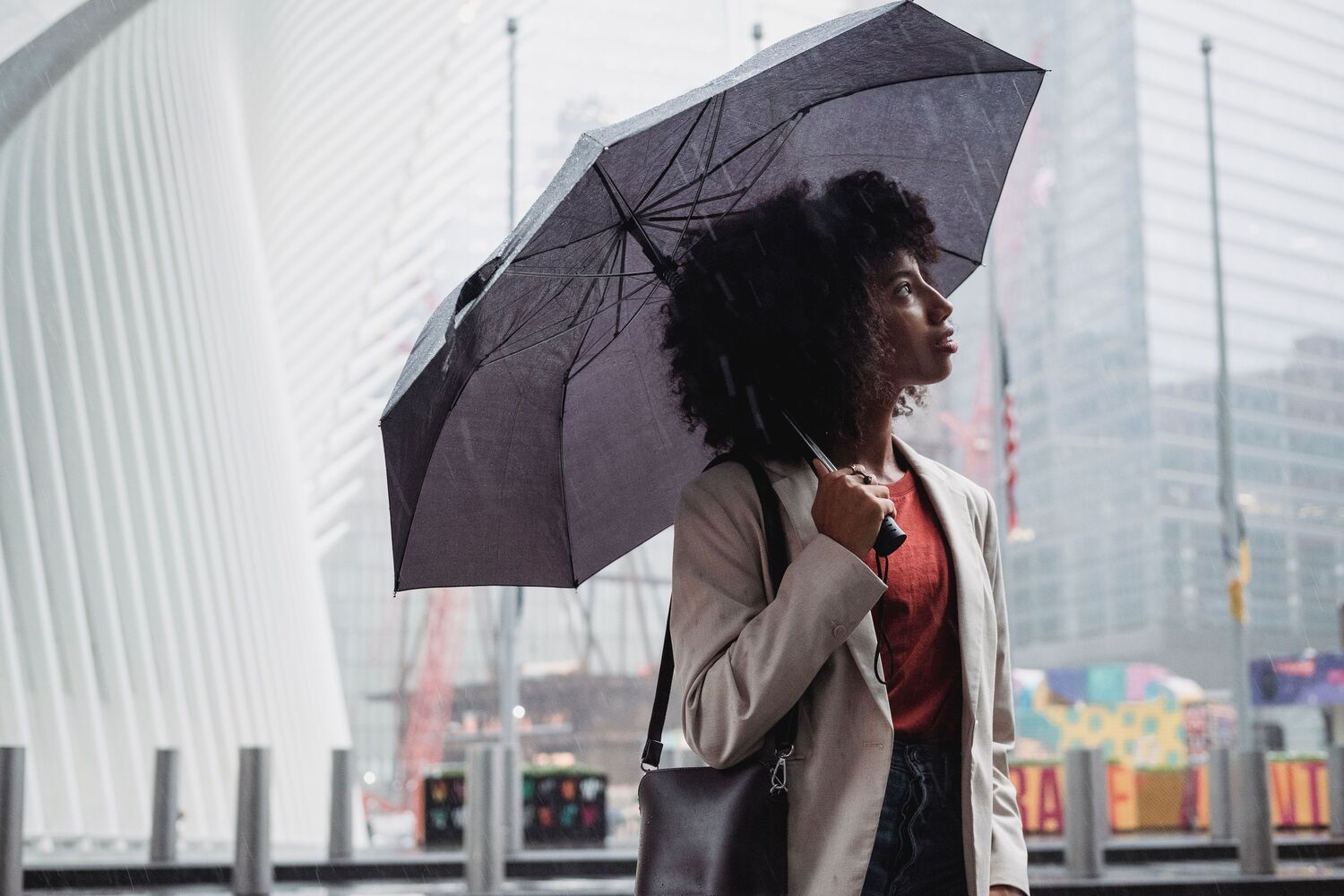 StormCanopy urban rain protection